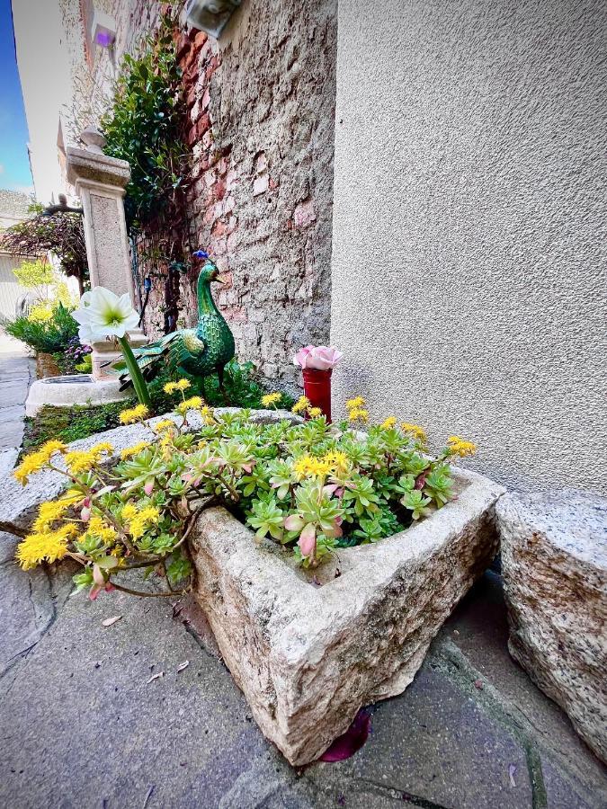 B&B Corte sul Naviglio Cernusco Sul Naviglio Exterior foto