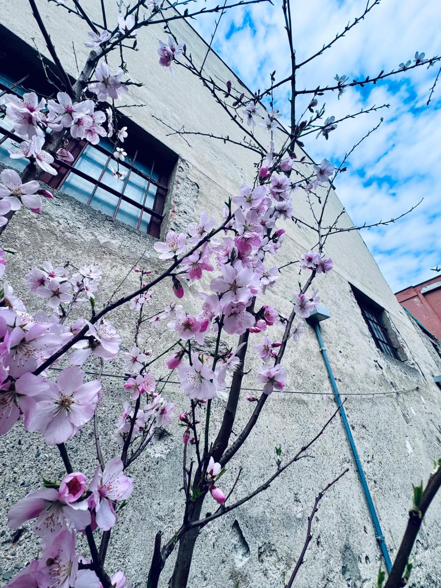 B&B Corte sul Naviglio Cernusco Sul Naviglio Exterior foto
